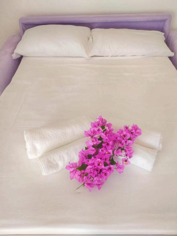 B&B Villa La Bouganville Camaiore Εξωτερικό φωτογραφία