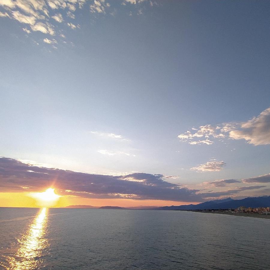 B&B Villa La Bouganville Camaiore Εξωτερικό φωτογραφία