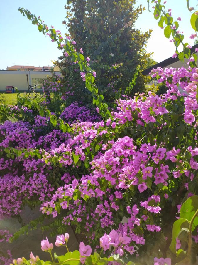 B&B Villa La Bouganville Camaiore Εξωτερικό φωτογραφία