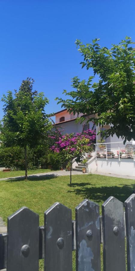 B&B Villa La Bouganville Camaiore Εξωτερικό φωτογραφία