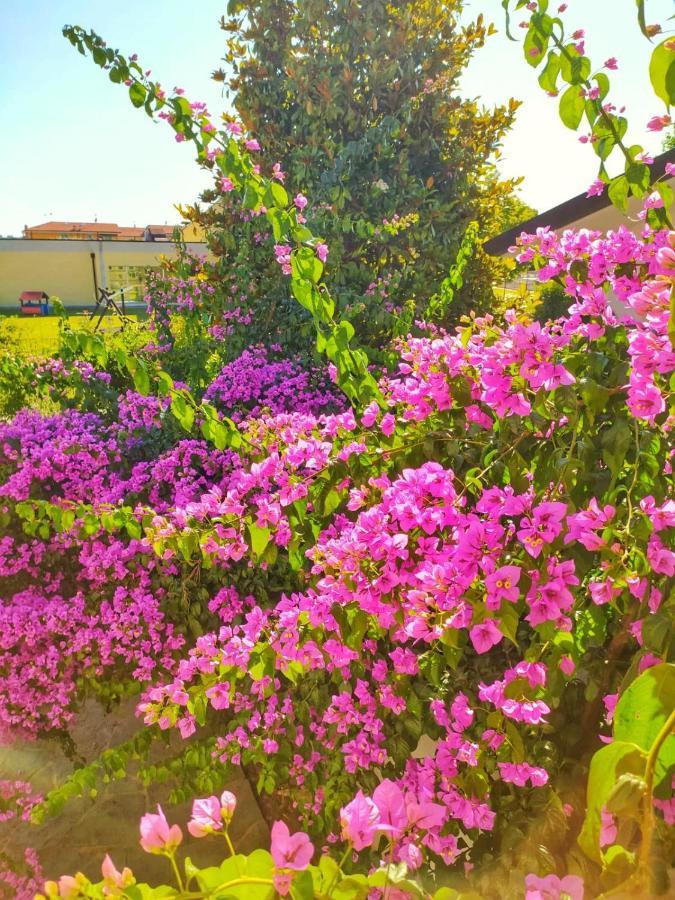 B&B Villa La Bouganville Camaiore Εξωτερικό φωτογραφία