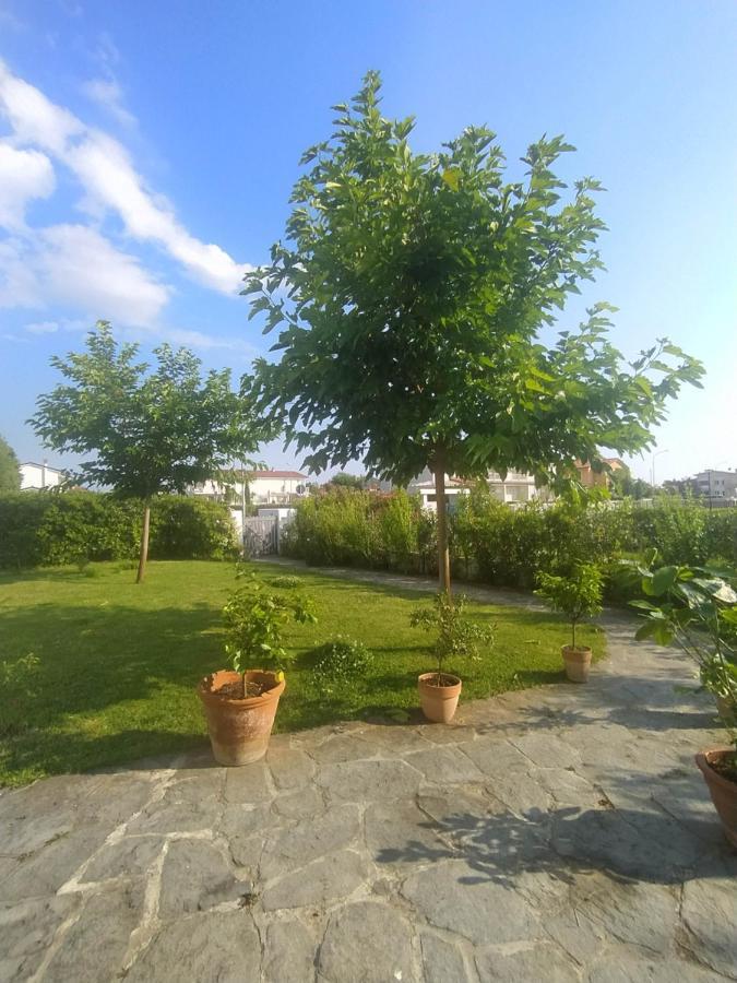 B&B Villa La Bouganville Camaiore Εξωτερικό φωτογραφία