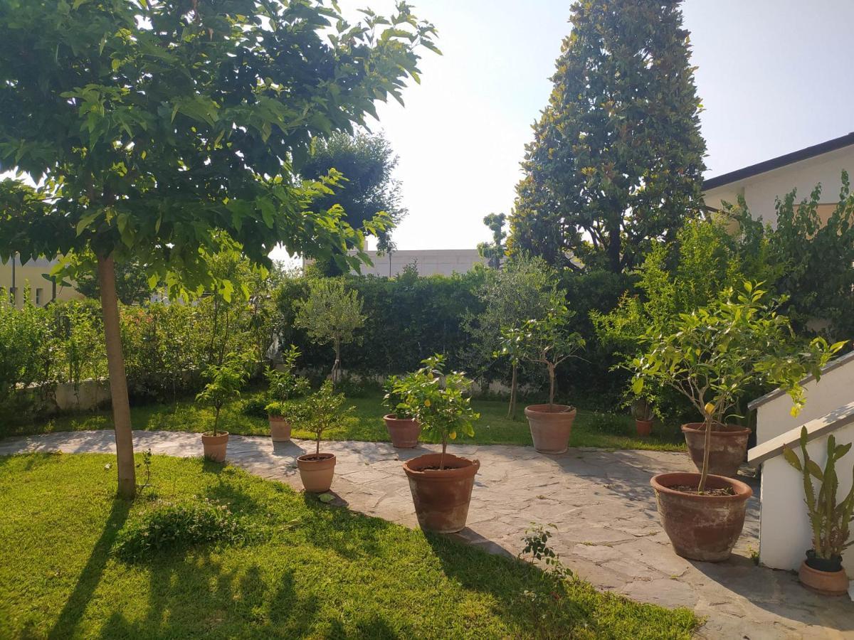 B&B Villa La Bouganville Camaiore Εξωτερικό φωτογραφία