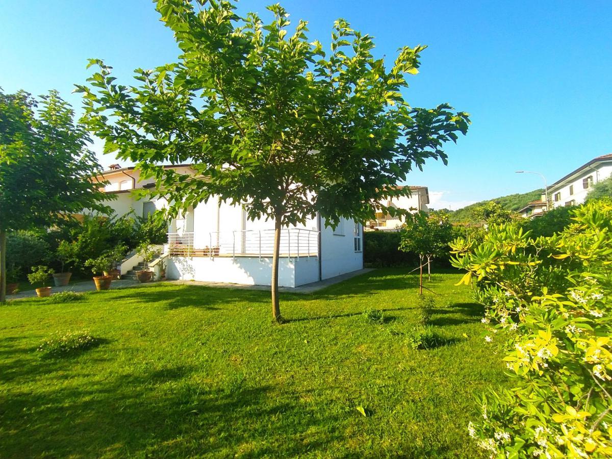 B&B Villa La Bouganville Camaiore Εξωτερικό φωτογραφία