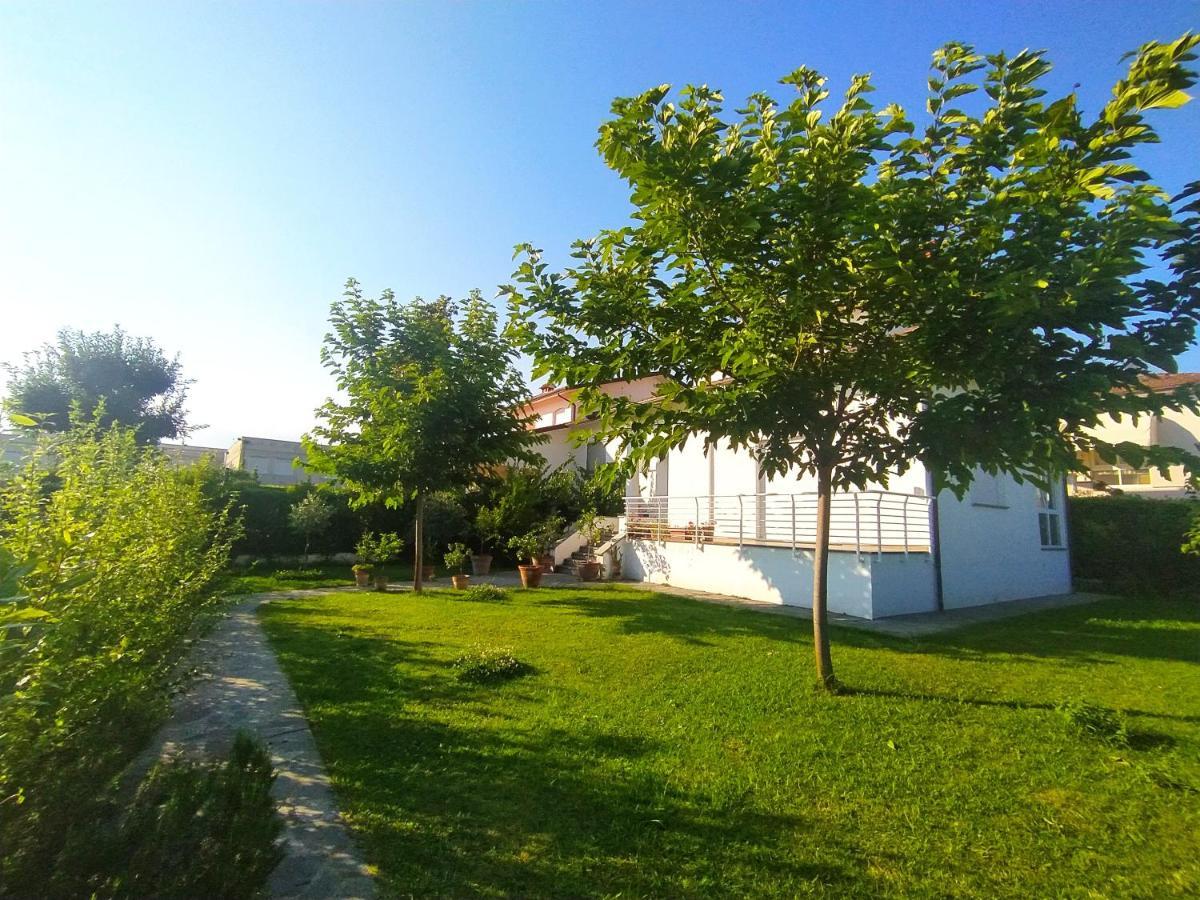 B&B Villa La Bouganville Camaiore Εξωτερικό φωτογραφία