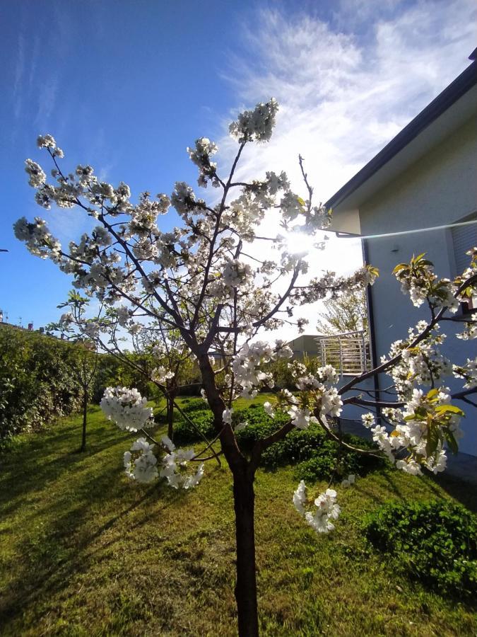 B&B Villa La Bouganville Camaiore Εξωτερικό φωτογραφία